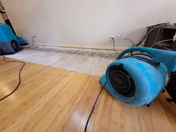 Professional Structural Drying technician working in Saint Cloud, FL